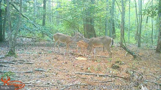 $274,900 | 2250 Key Wallace Drive, Cambridge, MD 21613