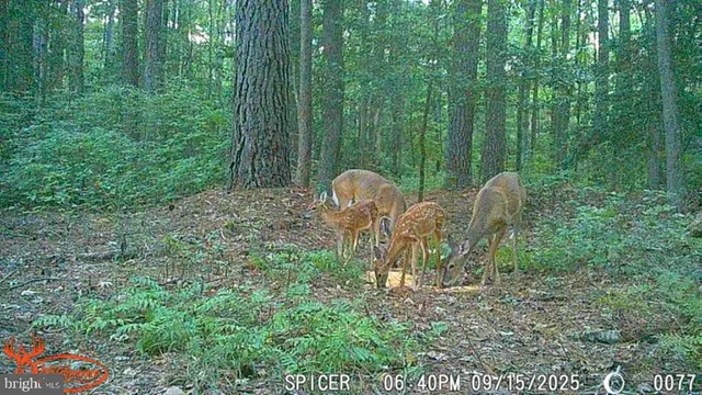 $274,900 | 2250 Key Wallace Drive, Cambridge, MD 21613