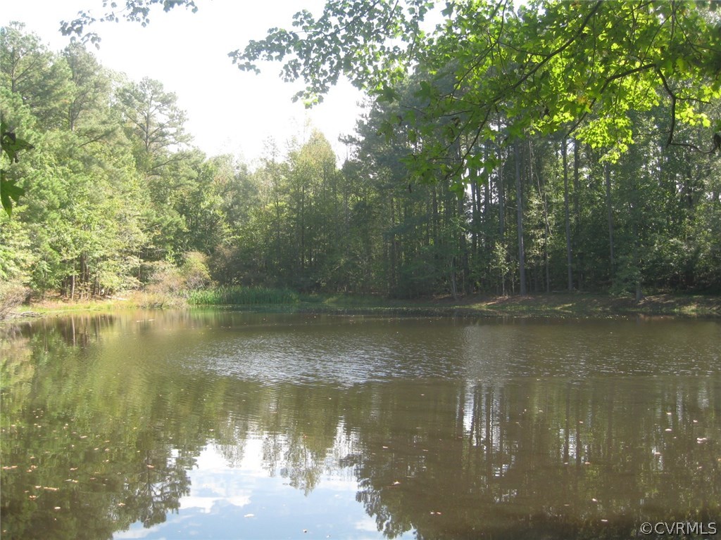 5670 Brickland Road Kenbridge, VA 23944 - Photo 1 of 10 a view of lake