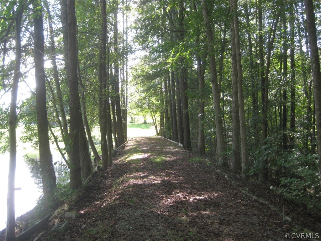 5670 Brickland Road Kenbridge, VA 23944 - Photo 2 of 10 a view of forest