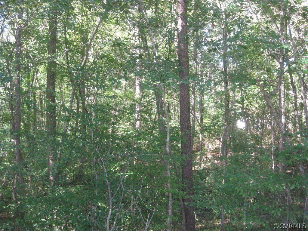 5670 Brickland Road Kenbridge, VA 23944 - Photo 3 of 10 a view of a green field in the forest