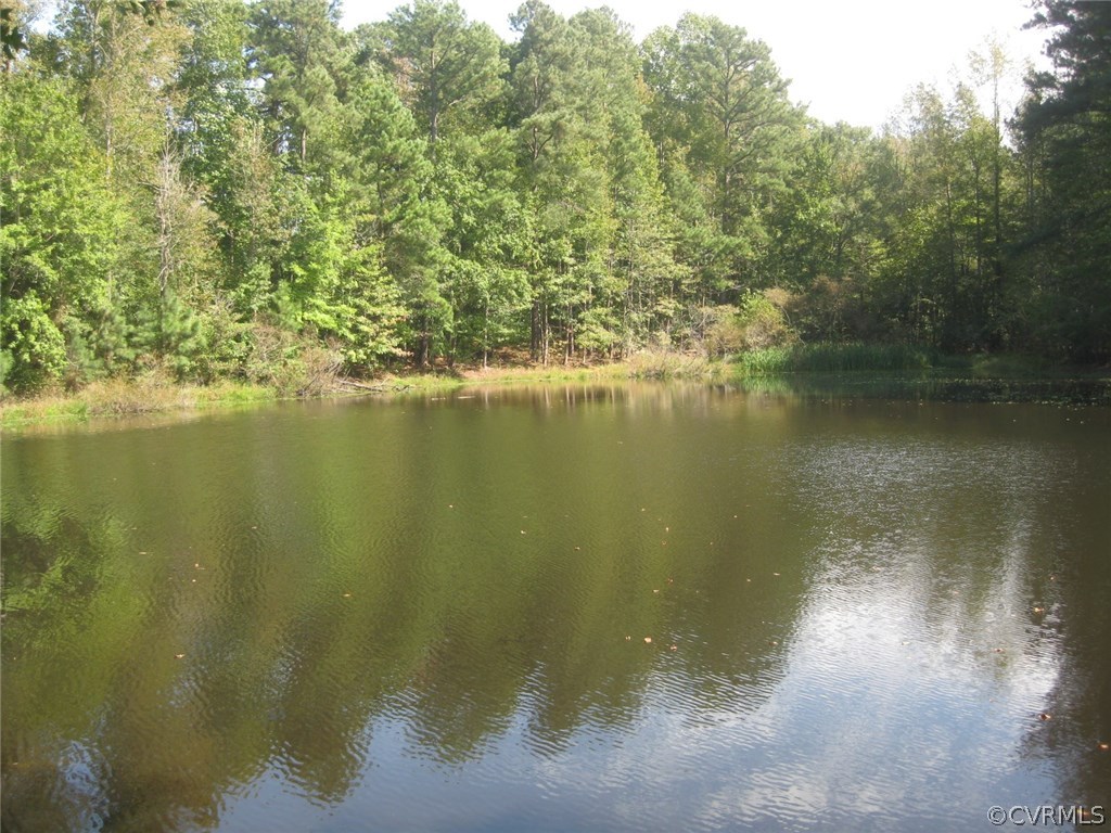 5670 Brickland Road Kenbridge, VA 23944 - Photo 4 of 10 a view of a lake view