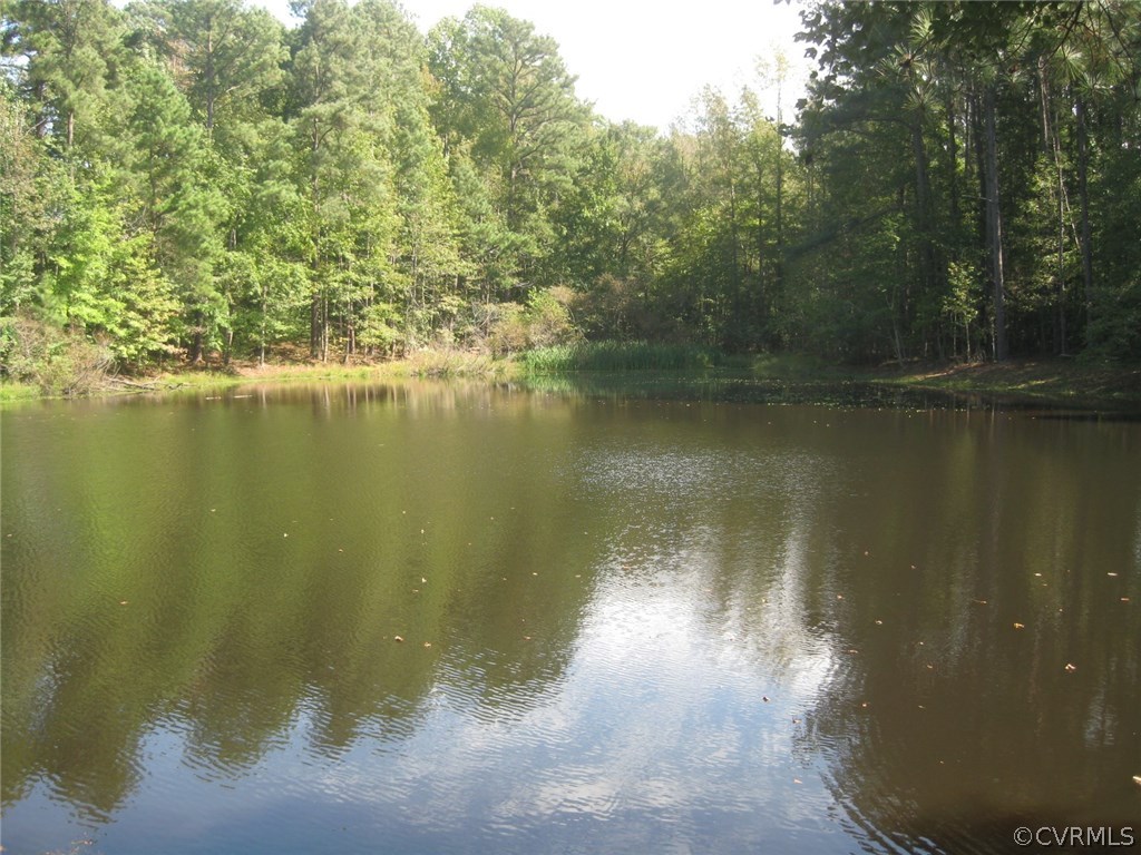 5670 Brickland Road Kenbridge, VA 23944 - Photo 5 of 10 a view of a lake view