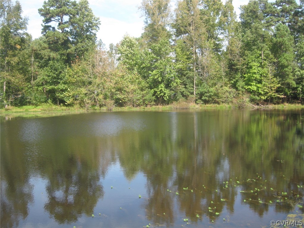 5670 Brickland Road Kenbridge, VA 23944 - Photo 9 of 10 a view of lake