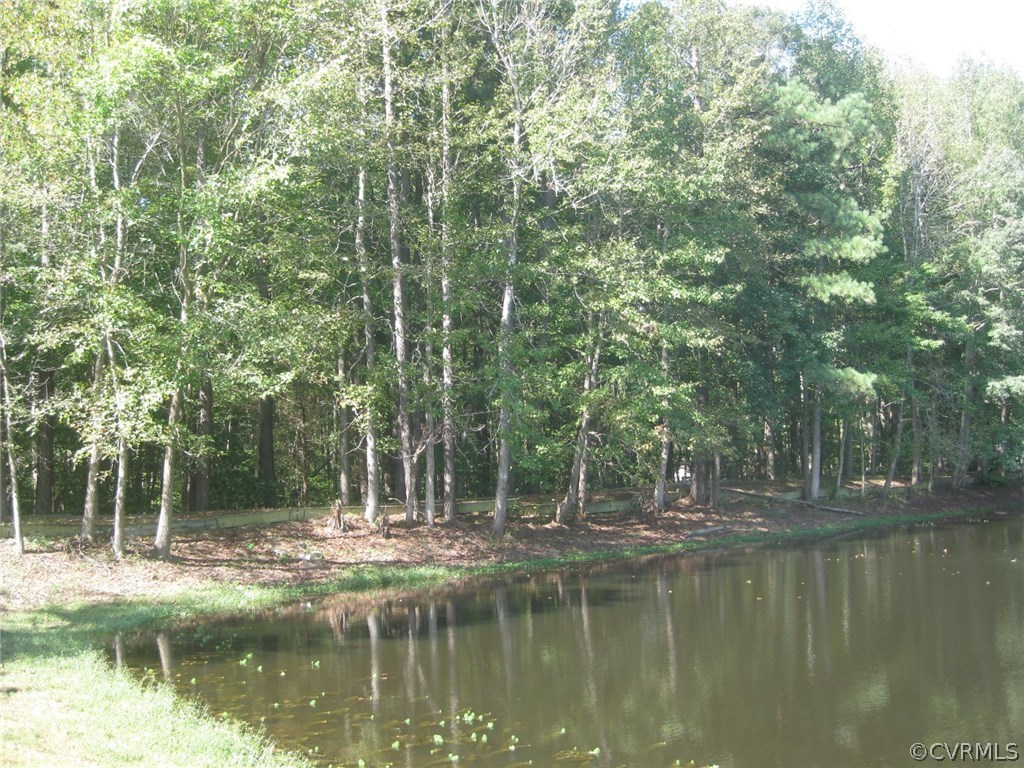 5670 Brickland Road Kenbridge, VA 23944 - Photo 10 of 10 a view of a lake with trees