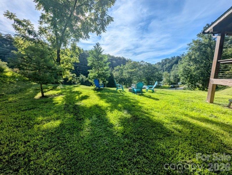 10 Rio Bravo Drive, Unit 4 Sylva, NC 28779 - Photo 8 of 33 a view of a park with large trees