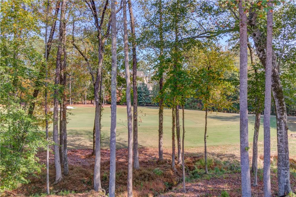 4635 Whitestone Way Suwanee, GA 30024 - Photo 25 of 27 a view of outdoor space