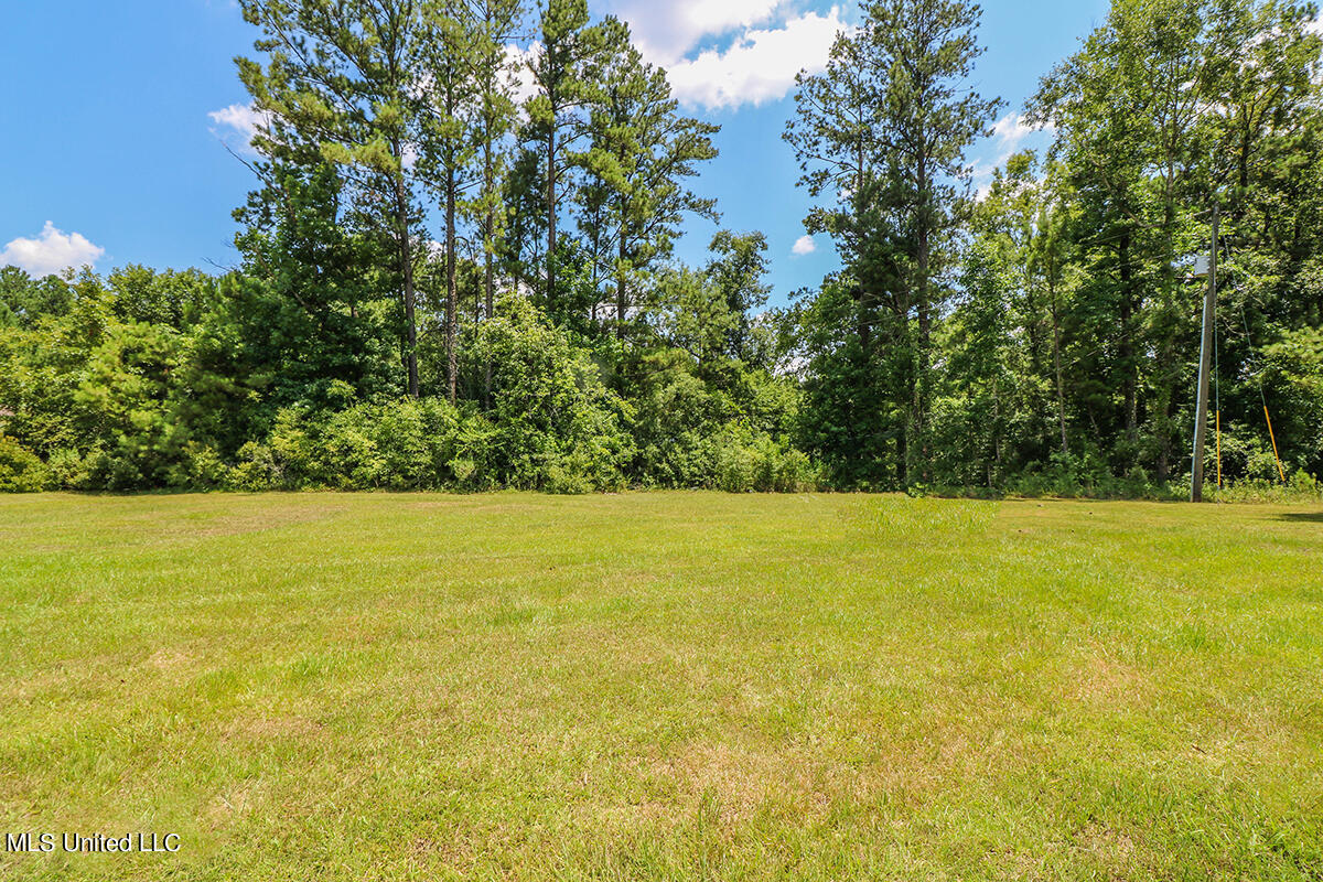 282 Tom Hempstead Road Lucedale, MS 39452 - Photo 28 of 30 28