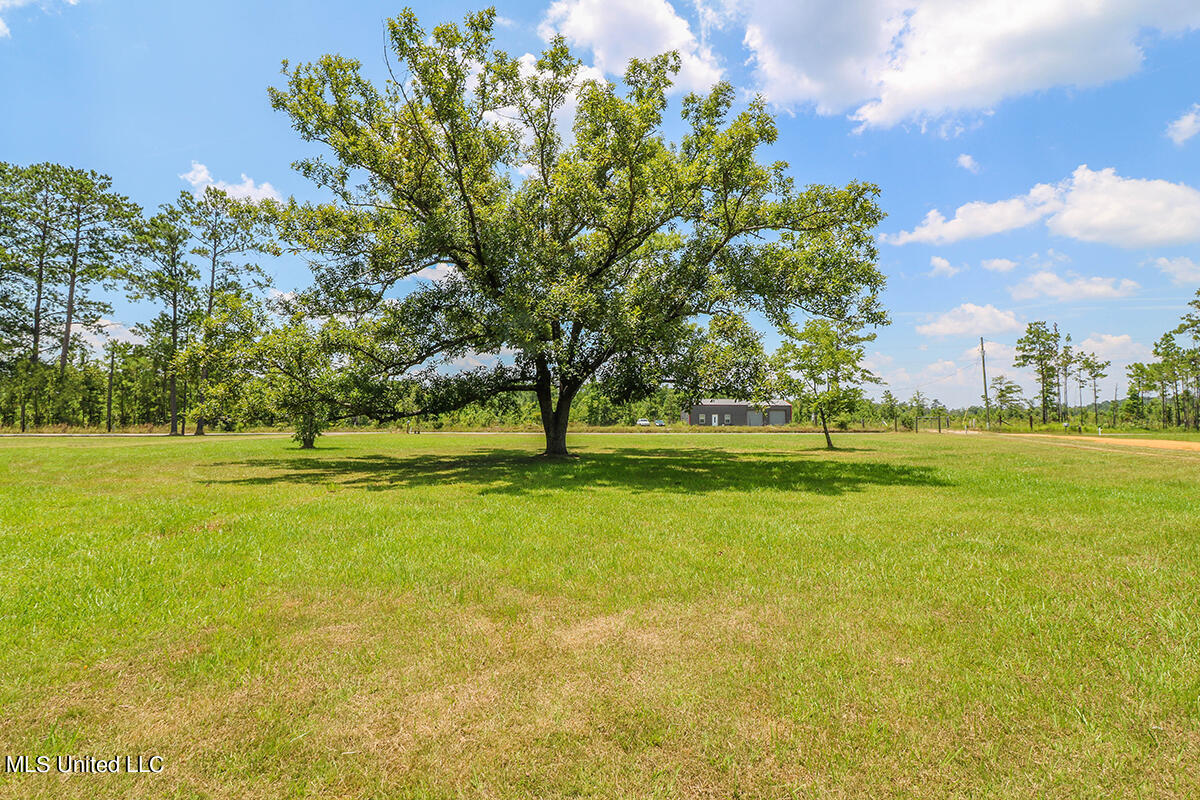 282 Tom Hempstead Road Lucedale, MS 39452 - Photo 29 of 30 29