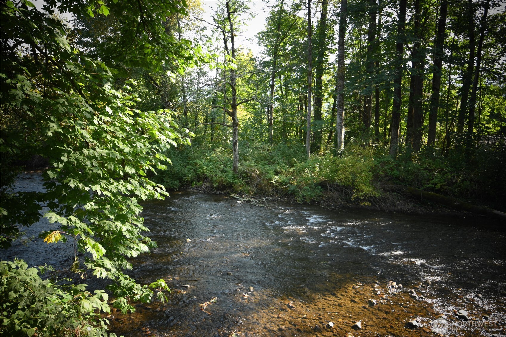 36010 State Route 2, Unit 2 Sultan, WA 98294 - Photo 21 of 28 a view of a forest with trees