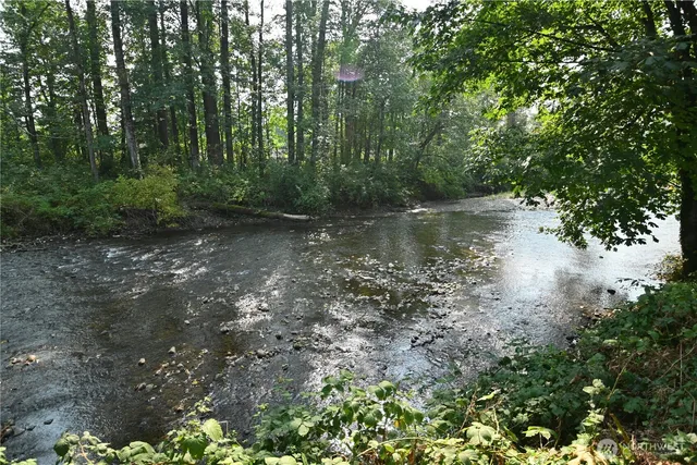 a view of a forest with trees in the background