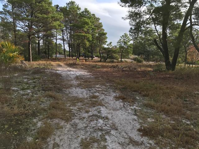 580 Ridge Road Santa Rosa Beach, FL 32459 - Photo 8 of 12 a view of road with trees