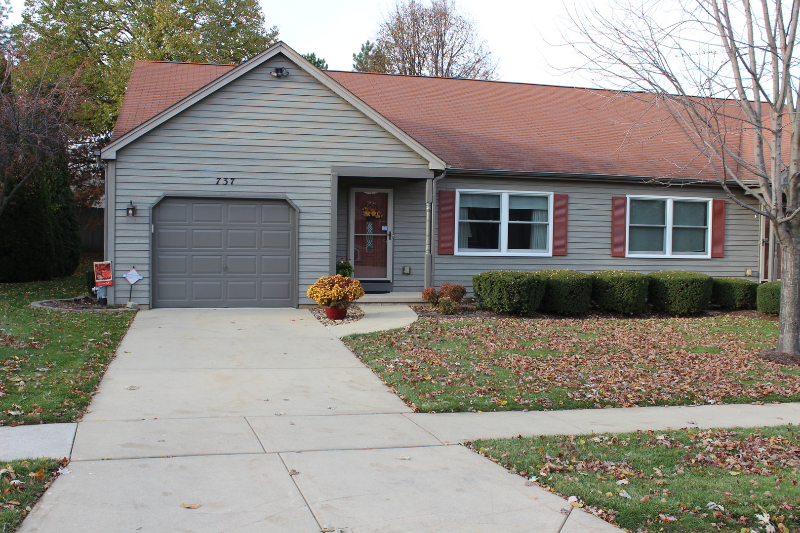 a front view of house with yard and green space