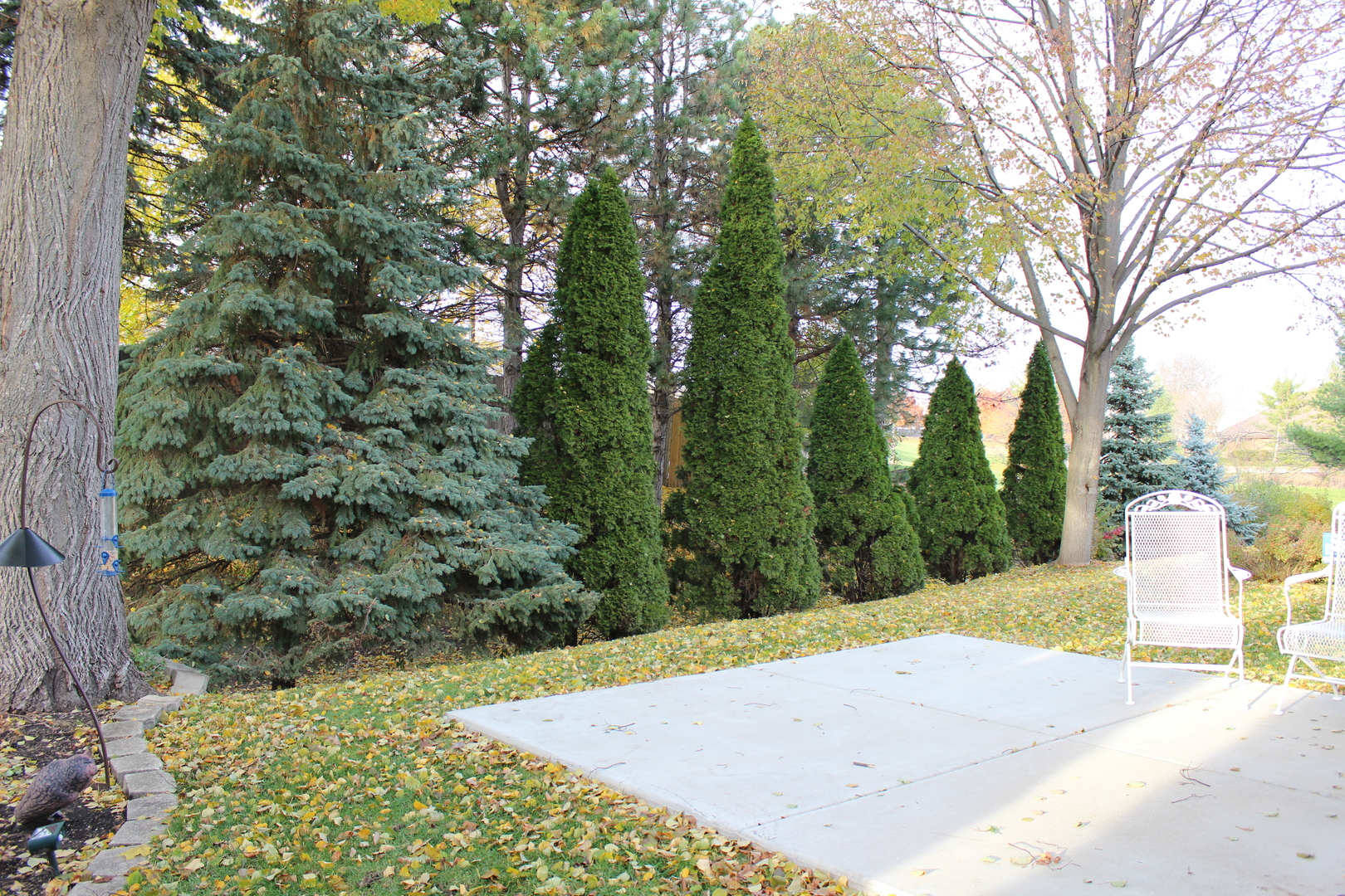 737 Alice Place Elgin, IL 60123 - Photo 27 of 28 a street view with large trees