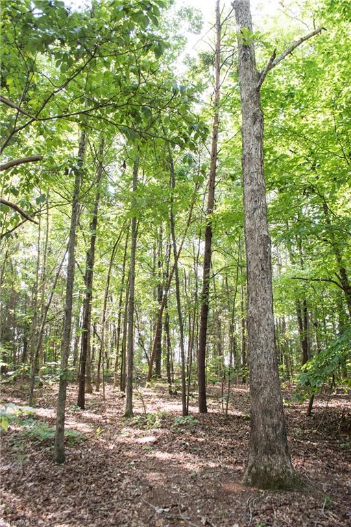 433 Cambridge Road Lexington, NC 27292 - Photo 29 of 30 Gallery Image 29