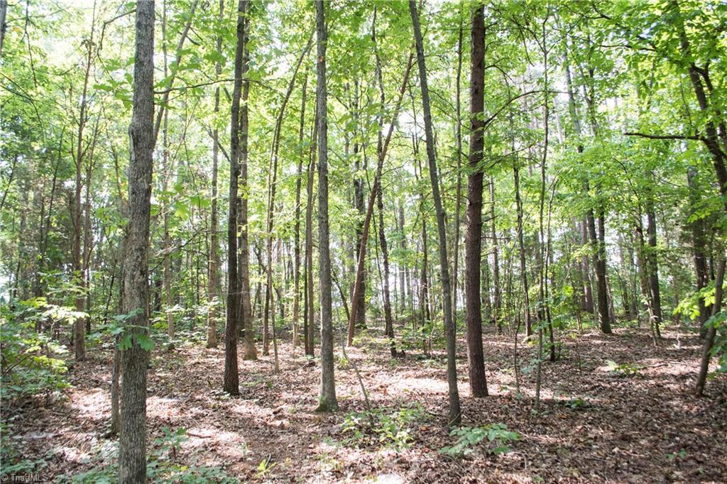 433 Cambridge Road Lexington, NC 27292 - Photo 30 of 30 Gallery Image 30