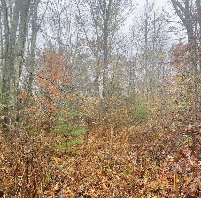 0 Watuppa Road Westport, MA 02790 - Photo 3 of 7 Gallery Image 3
