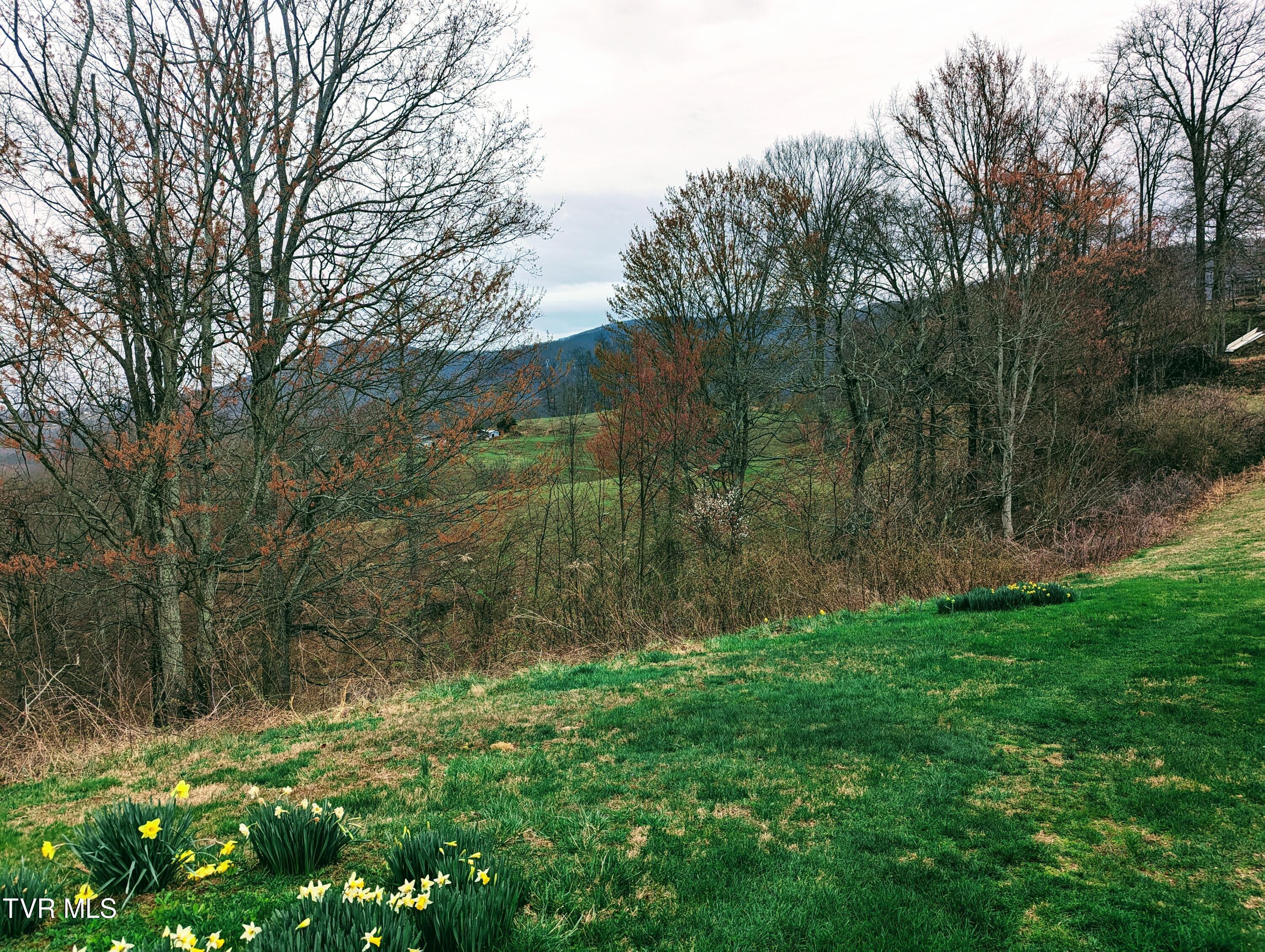 1544 Compton And Combs Road Honaker, VA 24260 - Photo 13 of 33 1000009681