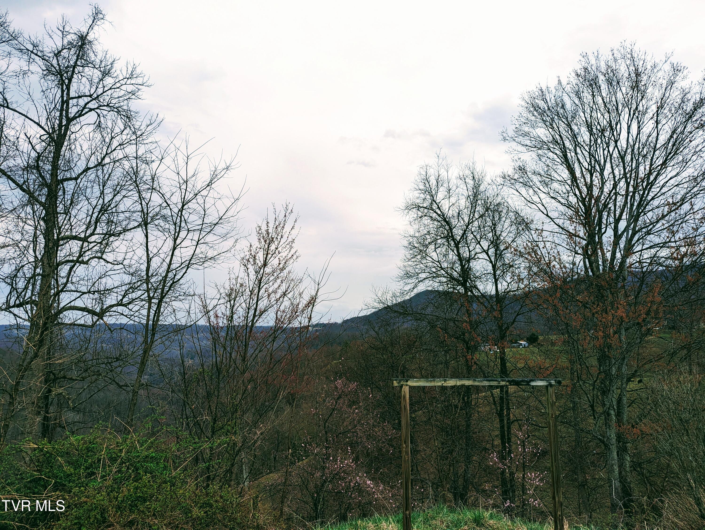 1544 Compton And Combs Road Honaker, VA 24260 - Photo 9 of 33 1000009687