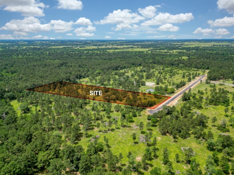 a view of a city with lush green forest