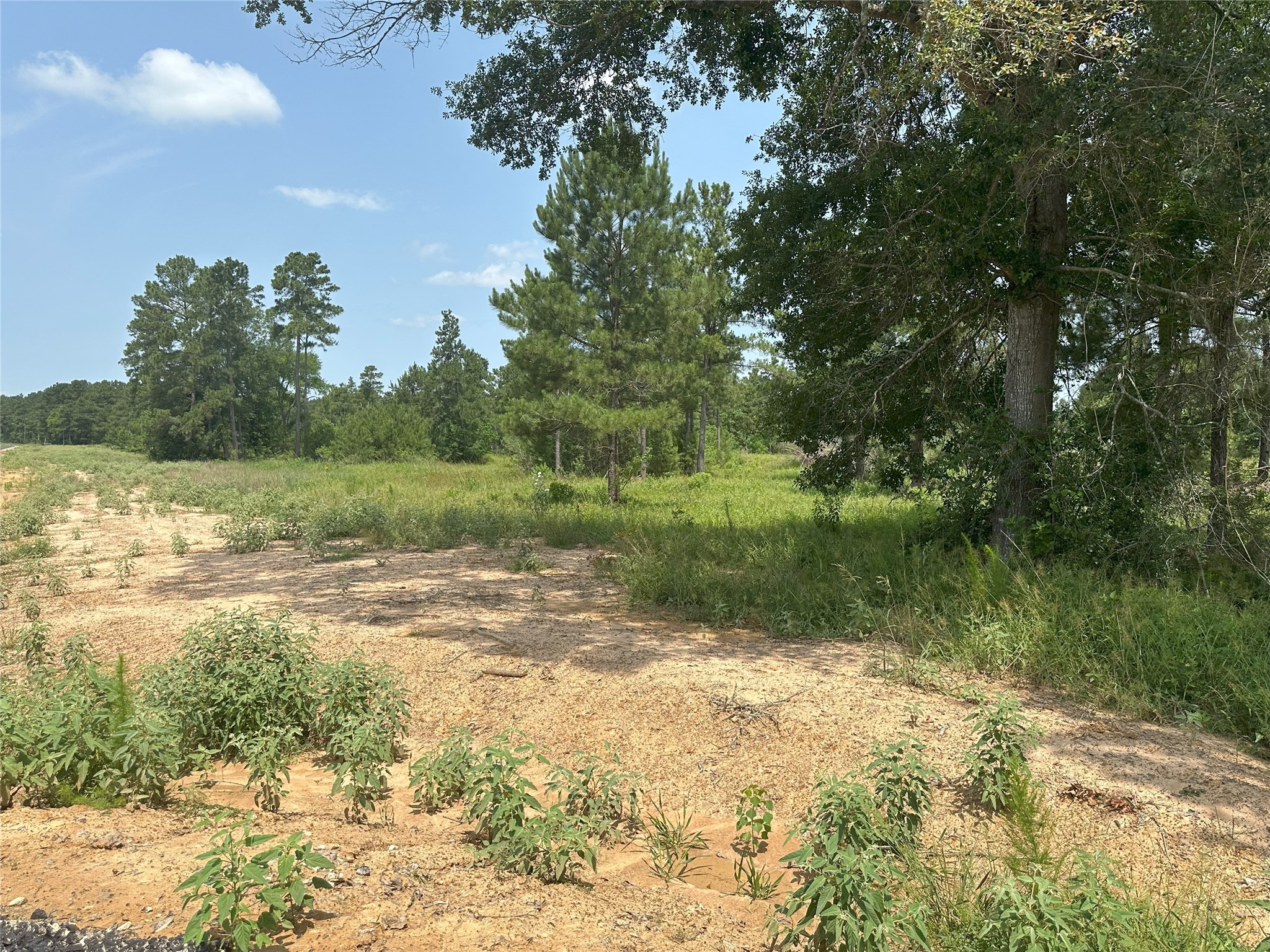31839 Boone Road Waller, TX 77484 - Photo 17 of 20 a view of lake with green space