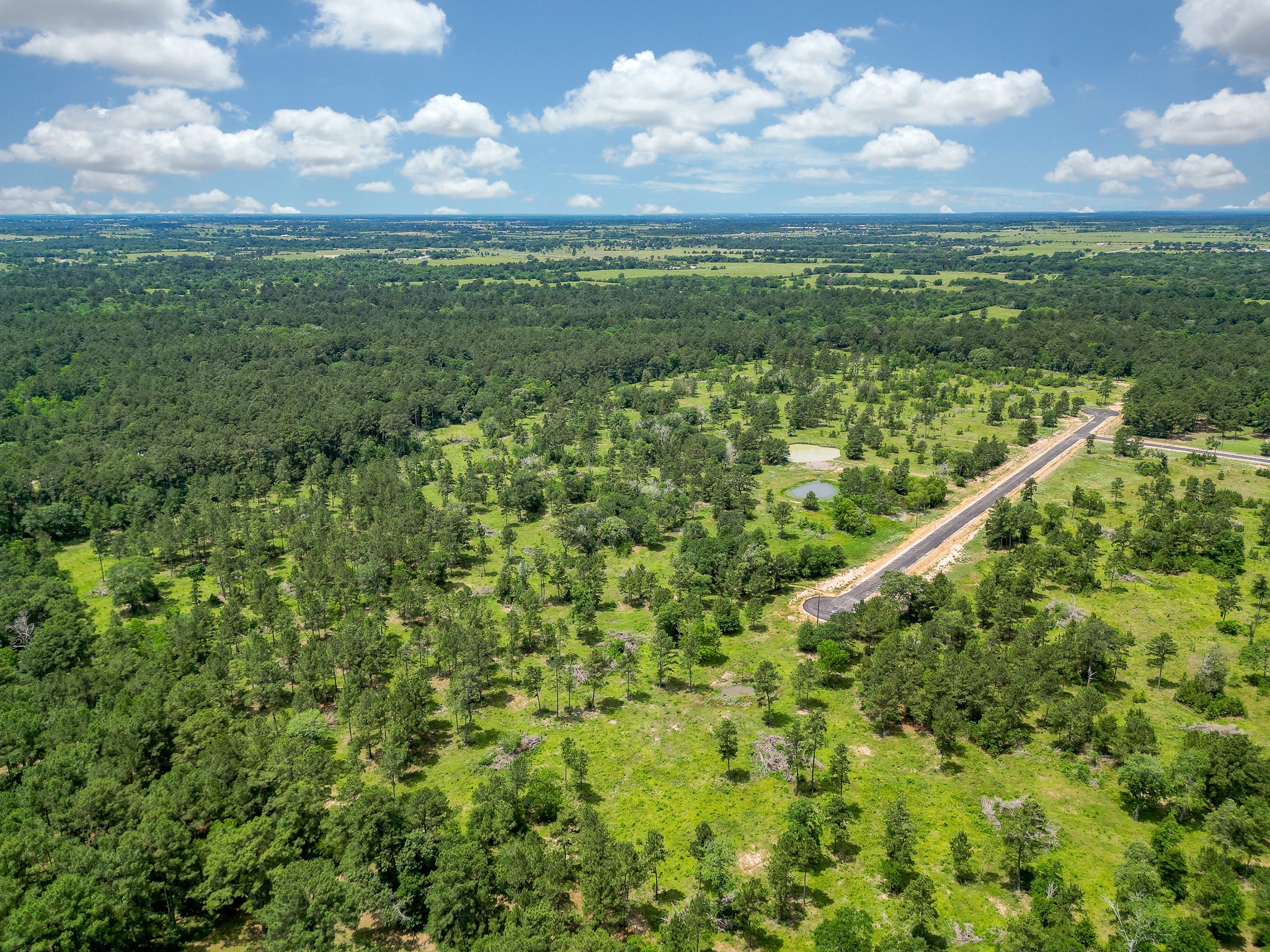 31839 Boone Road Waller, TX 77484 - Photo 4 of 20 a view of a city with lush green forest
