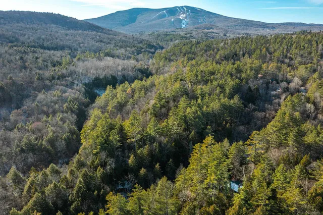 $315,000 | 4410 Pikes Falls Road, Jamaica, VT 05343