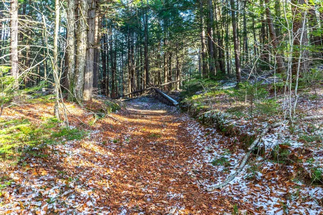 $315,000 | 4410 Pikes Falls Road, Jamaica, VT 05343