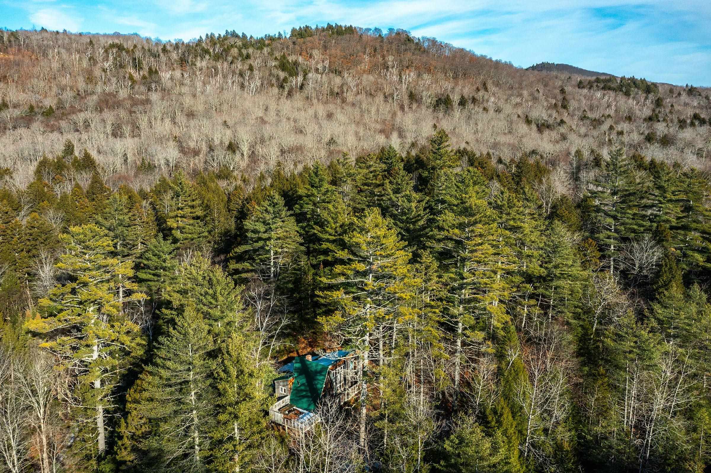 4410 Pikes Falls Road Jamaica, VT 05343 - Photo 6 of 46