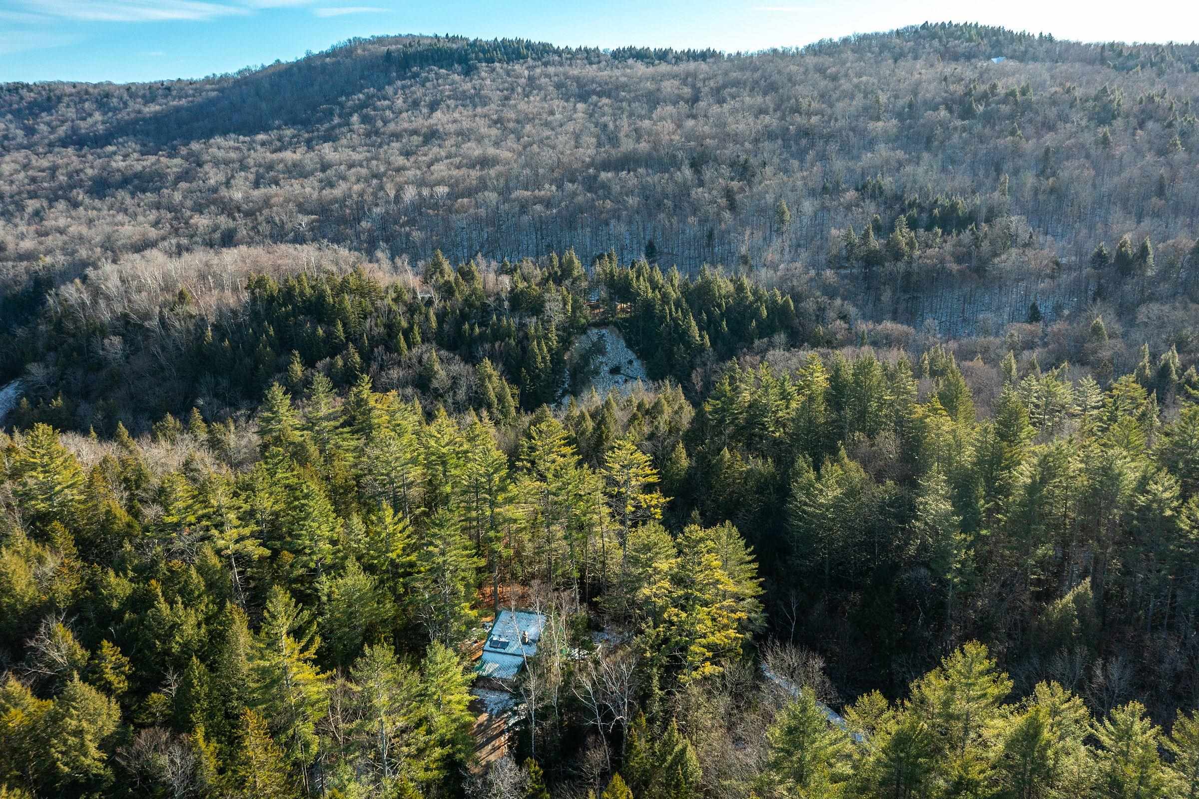 4410 Pikes Falls Road Jamaica, VT 05343 - Photo 7 of 46