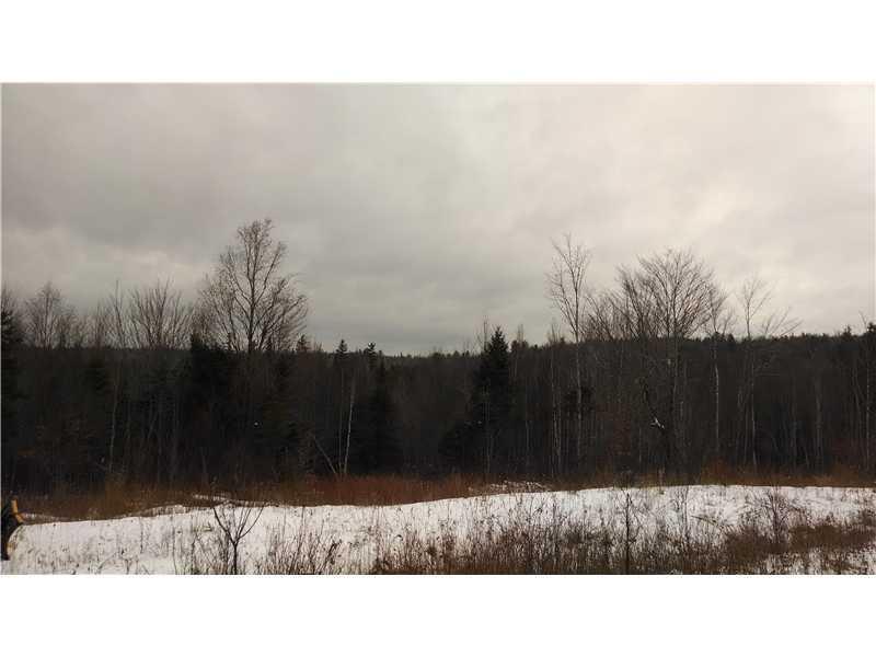 Lot # Prescott Brook Road Springfield, ME 04487 - Photo 4 of 6 Exterior Front.