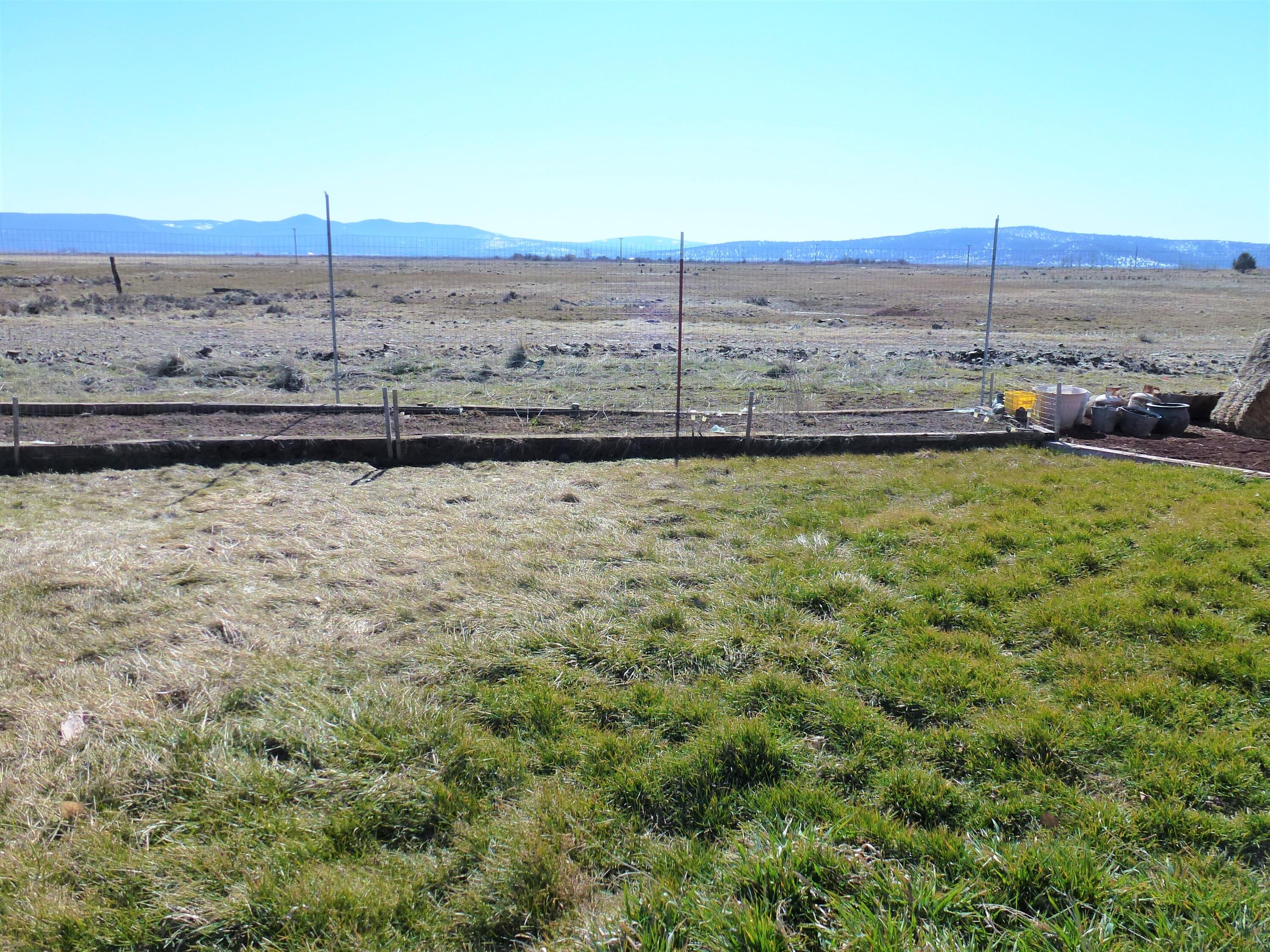 402 Punkin Center Road Bieber, CA 96009 - Photo 16 of 20 Front Yard