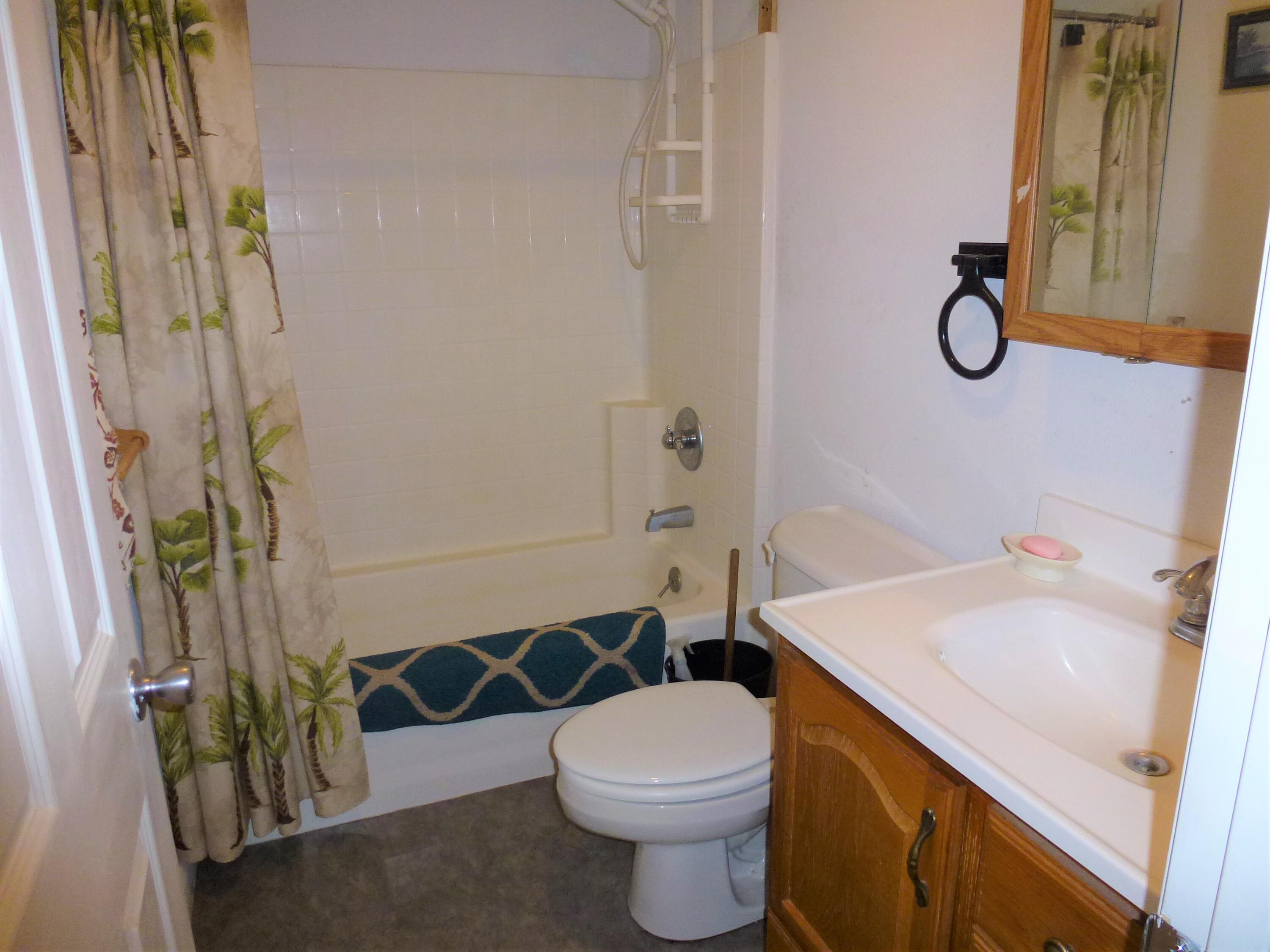 402 Punkin Center Road Bieber, CA 96009 - Photo 10 of 20 Master bath