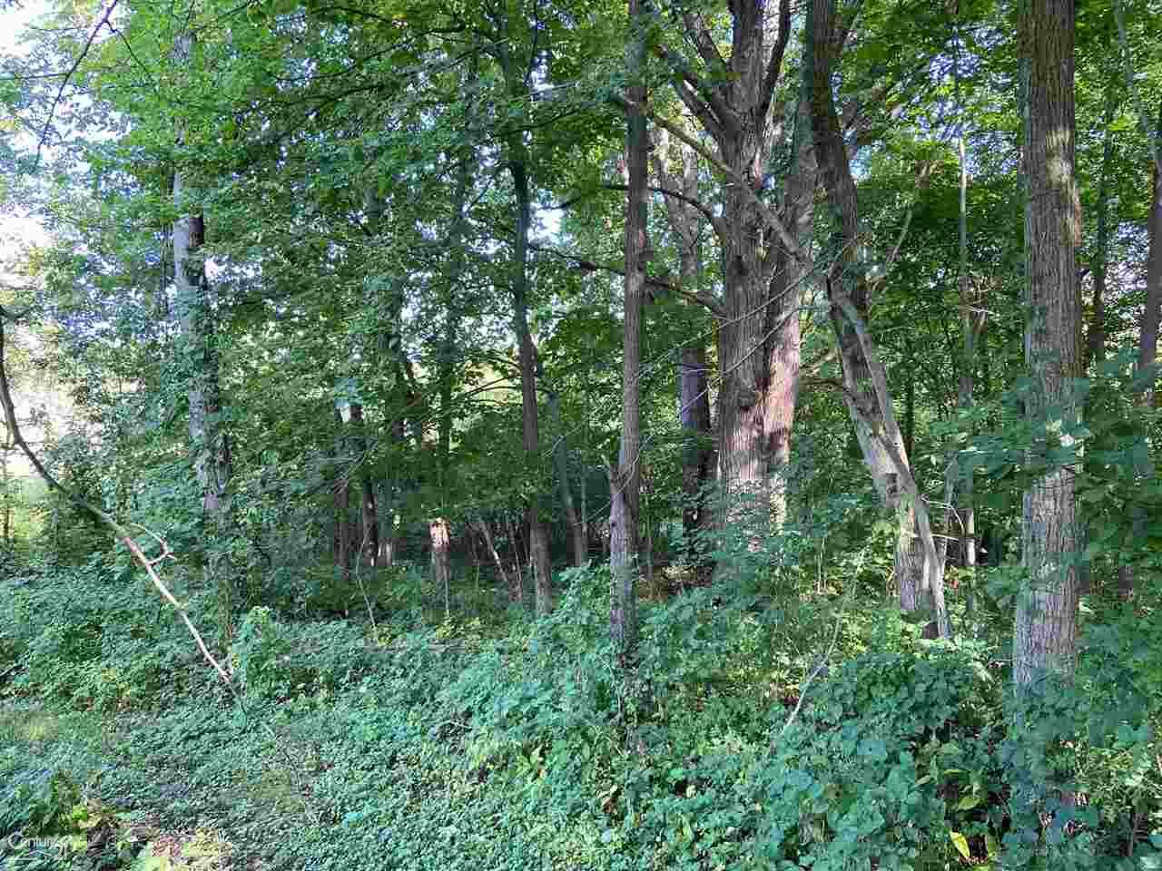 0 Marshall Road South Lyon, MI 48178 - Photo 25 of 29