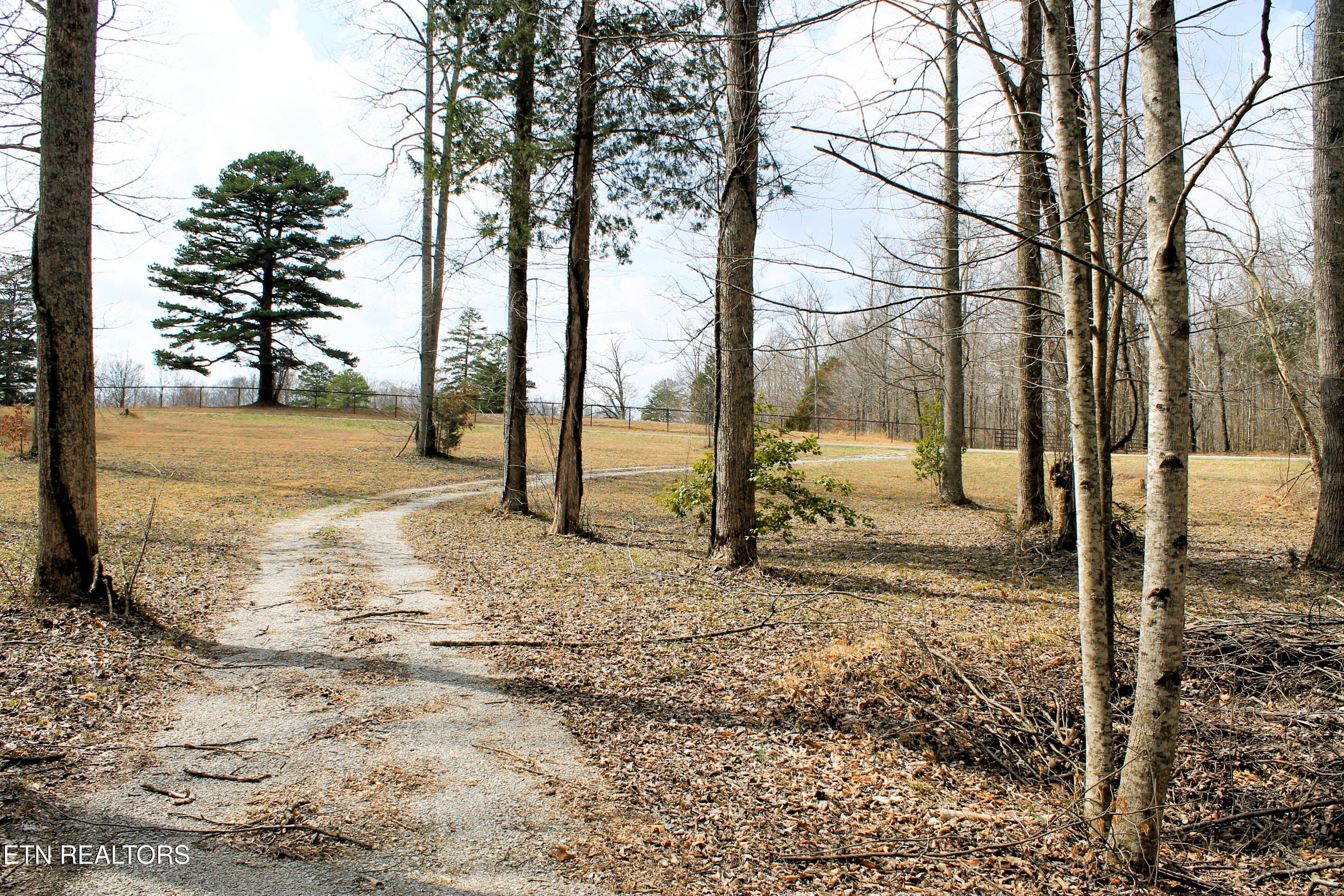 5001 Robbinstown Road Byrdstown, TN 38549 - Photo 18 of 20 IMG_7615