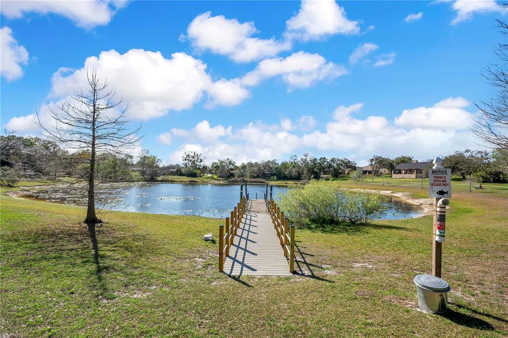 8431 Delaware Drive Weeki Wachee, FL 34607 - Photo 57 of 64