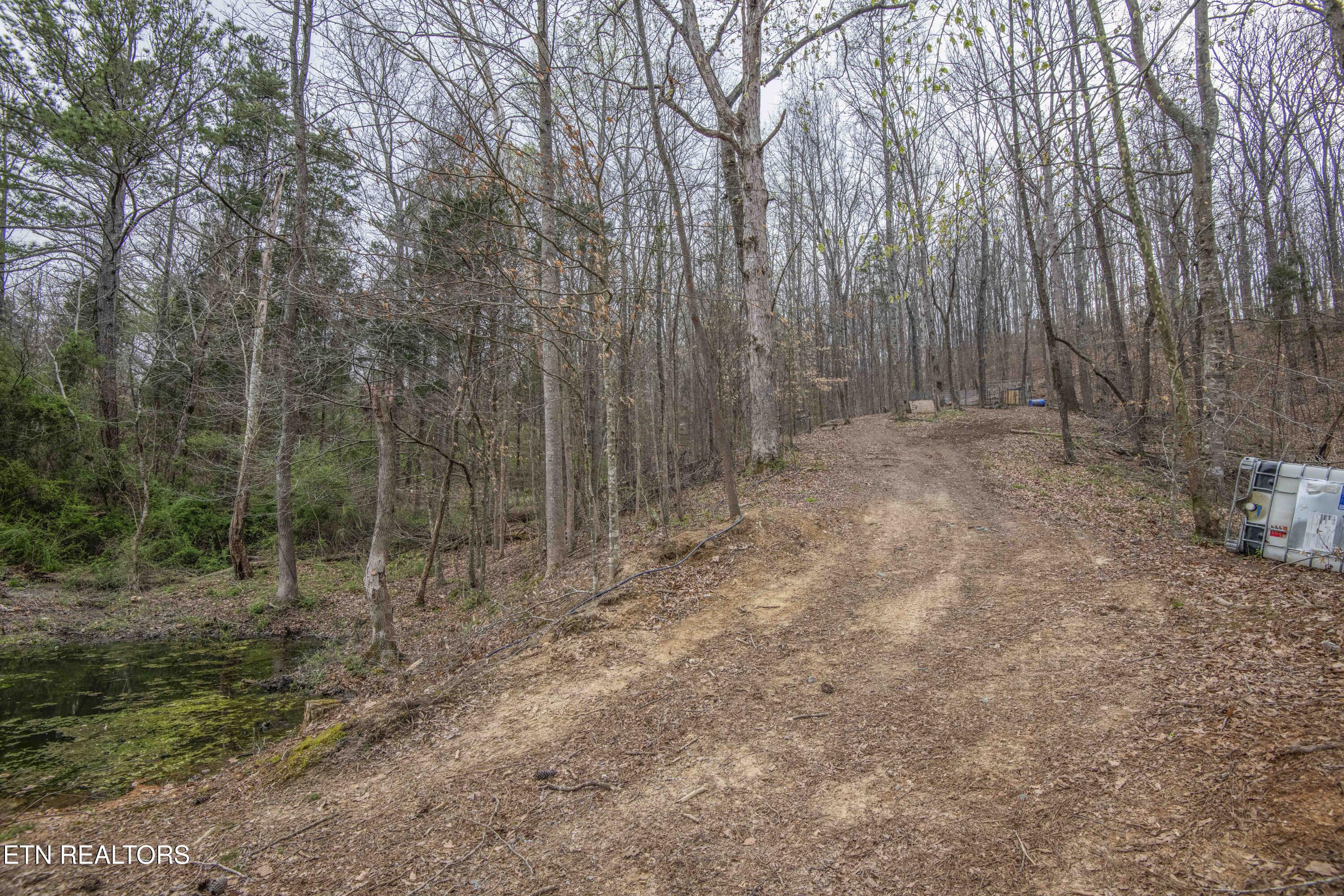 106 County Road 189 Decatur, TN 37322 - Photo 38 of 54 yard 7_1
