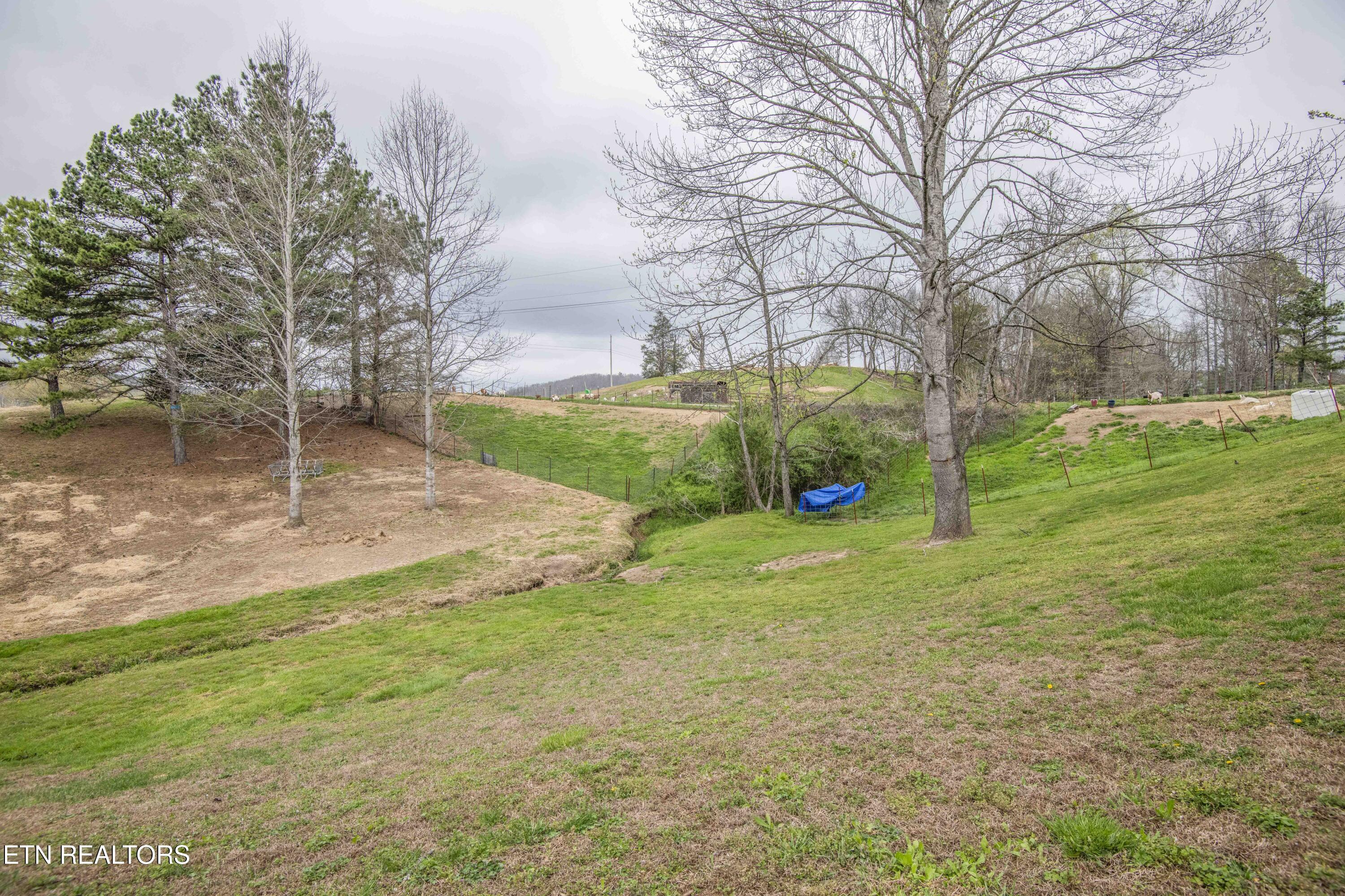 106 County Road 189 Decatur, TN 37322 - Photo 40 of 54 yard 10_1