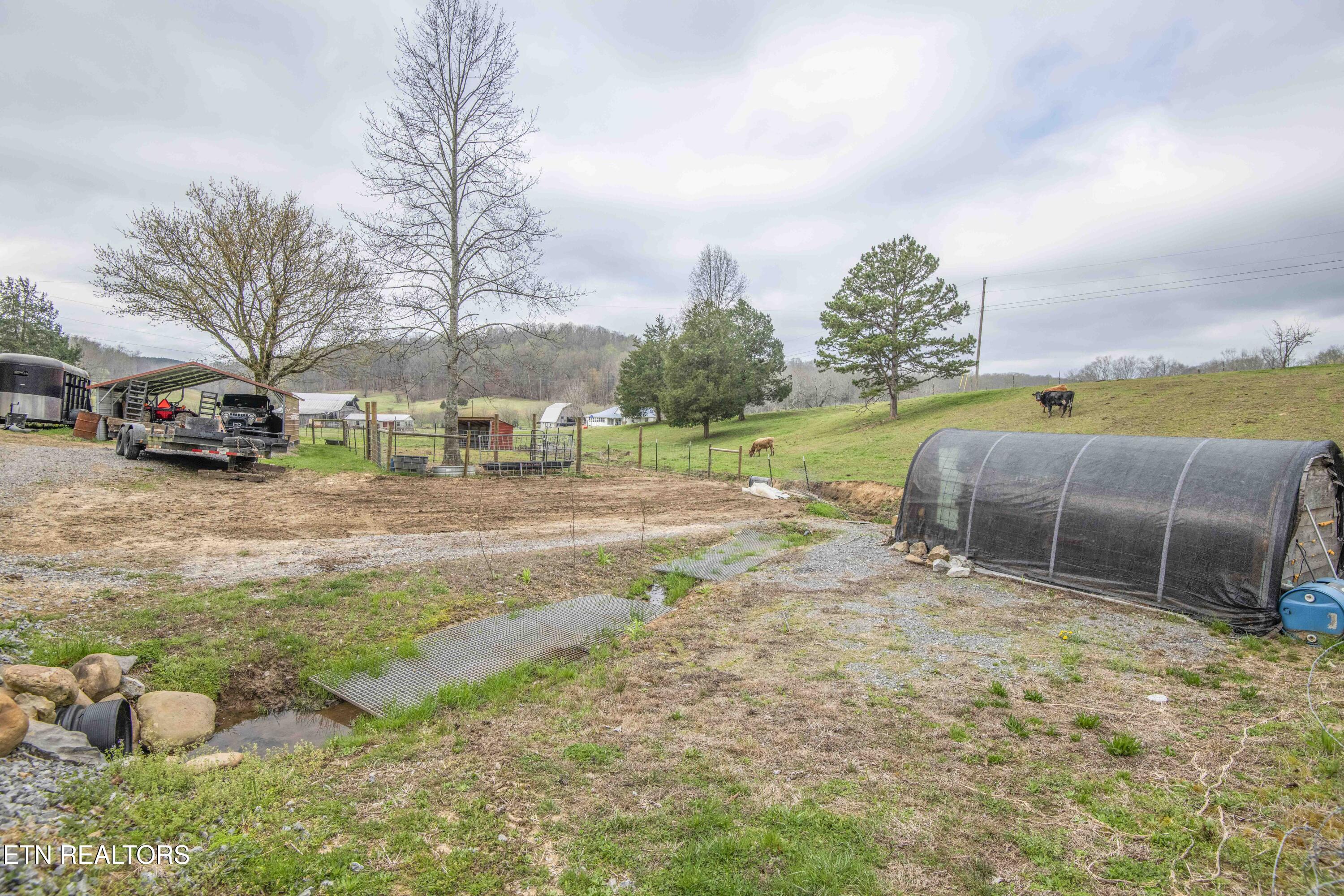 106 County Road 189 Decatur, TN 37322 - Photo 42 of 54 yard 5_1