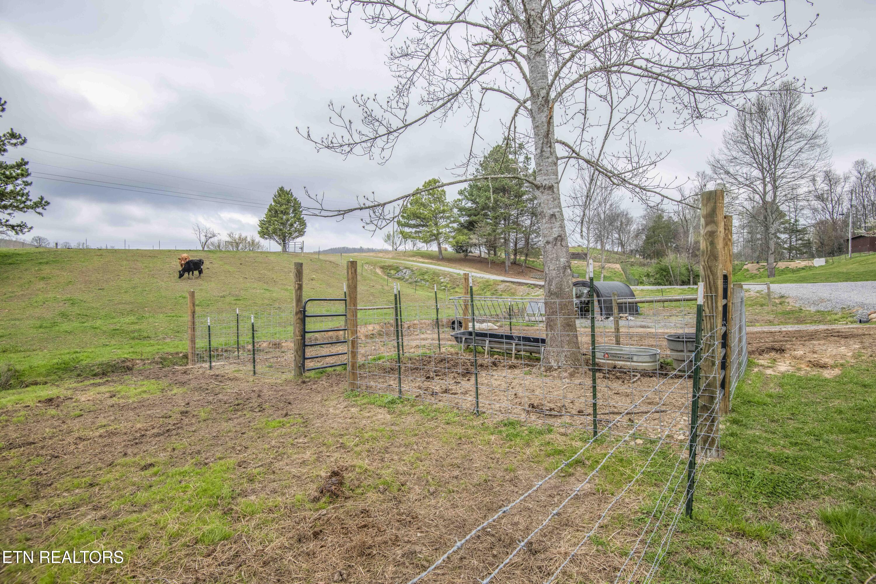 106 County Road 189 Decatur, TN 37322 - Photo 49 of 57 yard 1_1