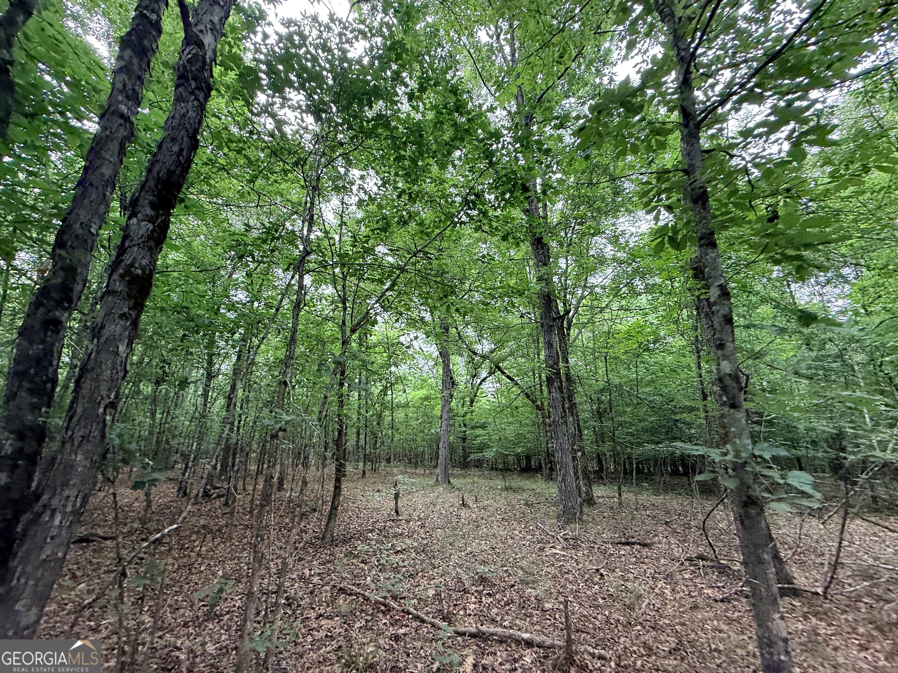2 Bethesda Church Road Lexington, GA 30648 - Photo 20 of 66