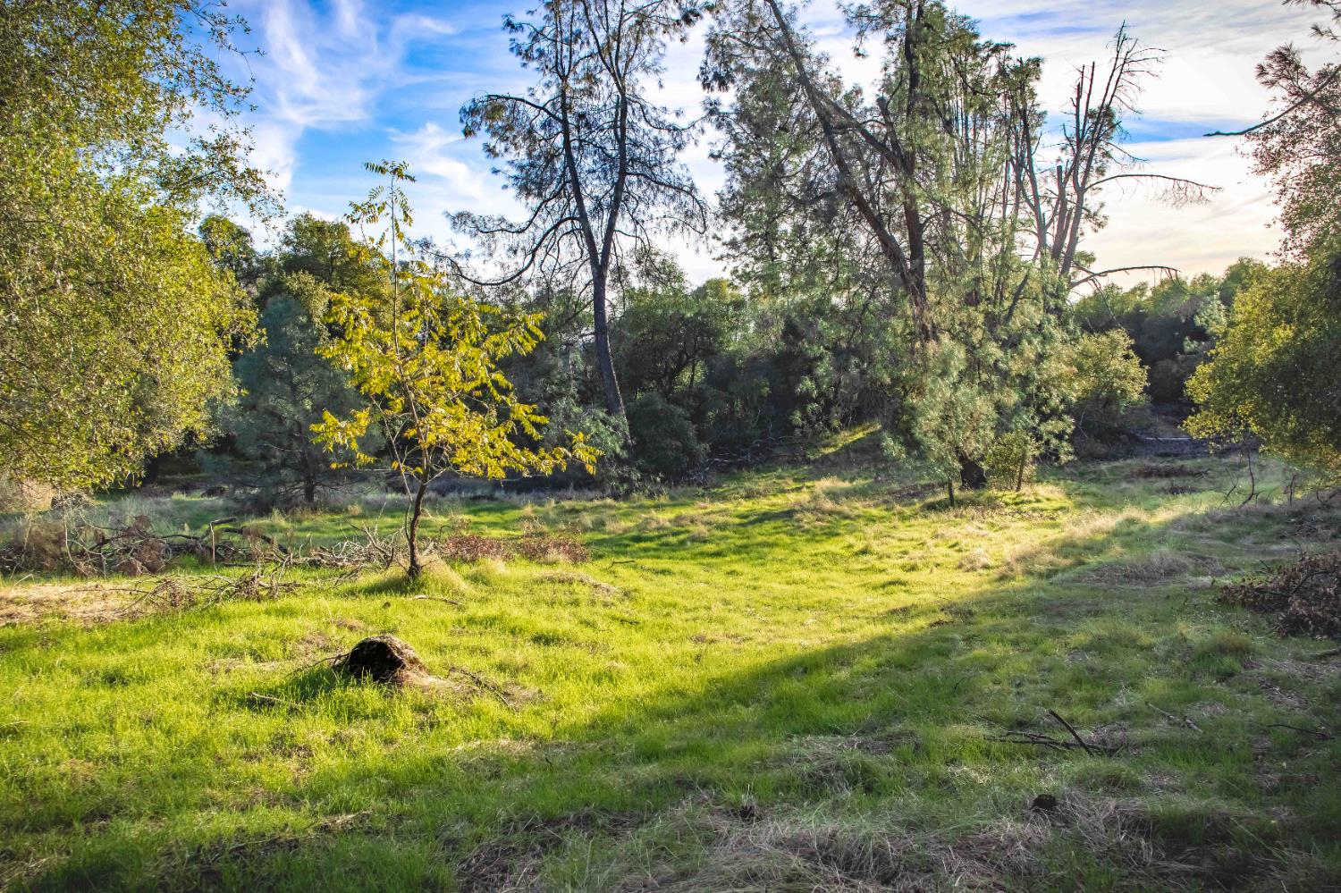 3326 Sand Ridge Road Placerville, CA 95667 - Photo 2 of 6