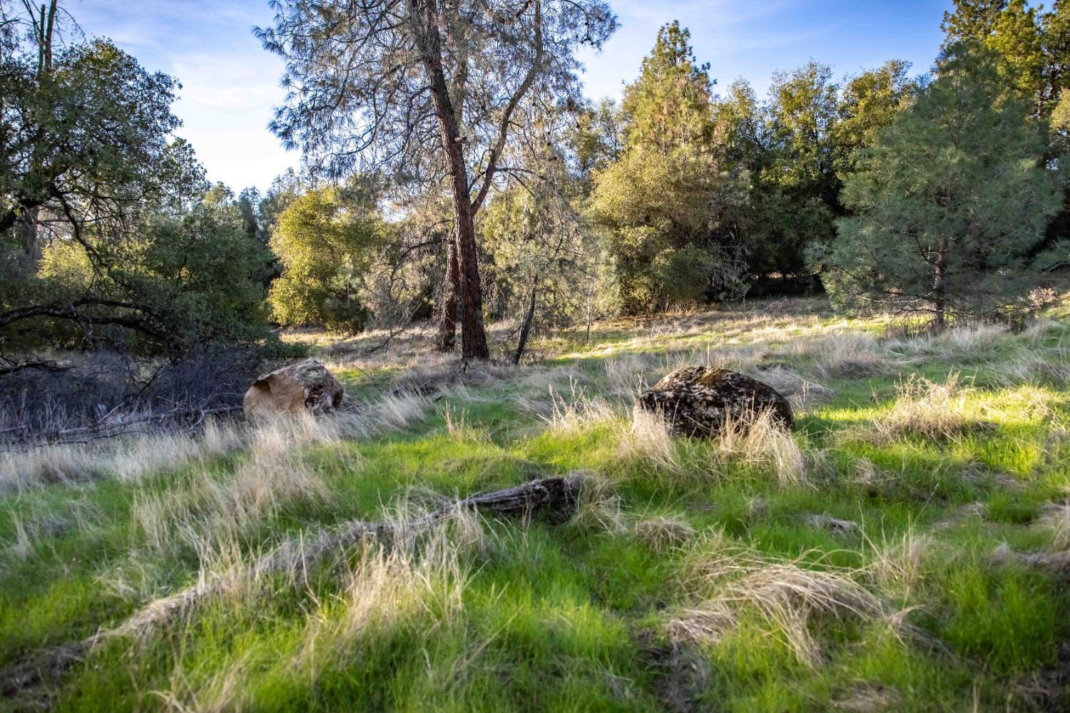 3326 Sand Ridge Road Placerville, CA 95667 - Photo 4 of 6