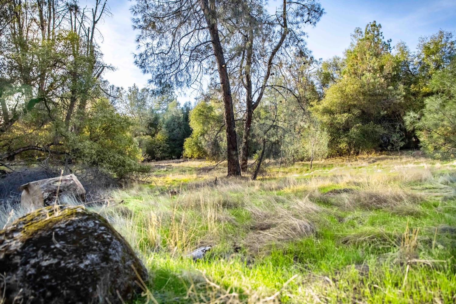 3326 Sand Ridge Road Placerville, CA 95667 - Photo 5 of 6