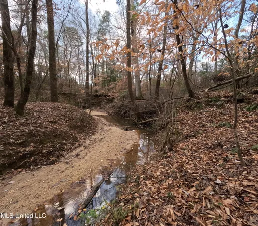 $485,000 | St-john Road Road, Braxton, MS 39044