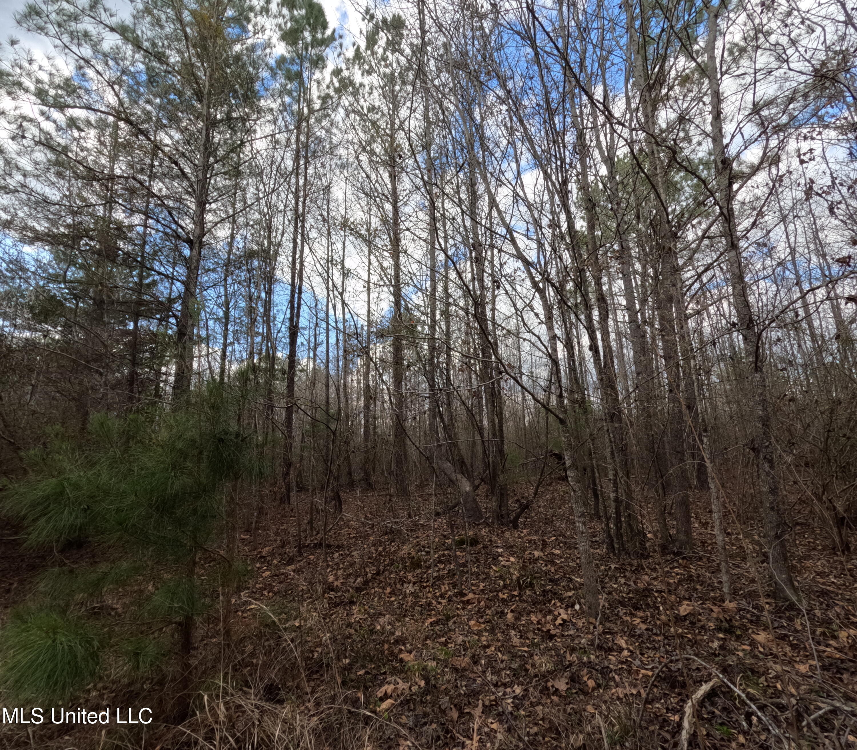 St-john Road Road Braxton, MS 39044 - Photo 11 of 38 GOPR0886
