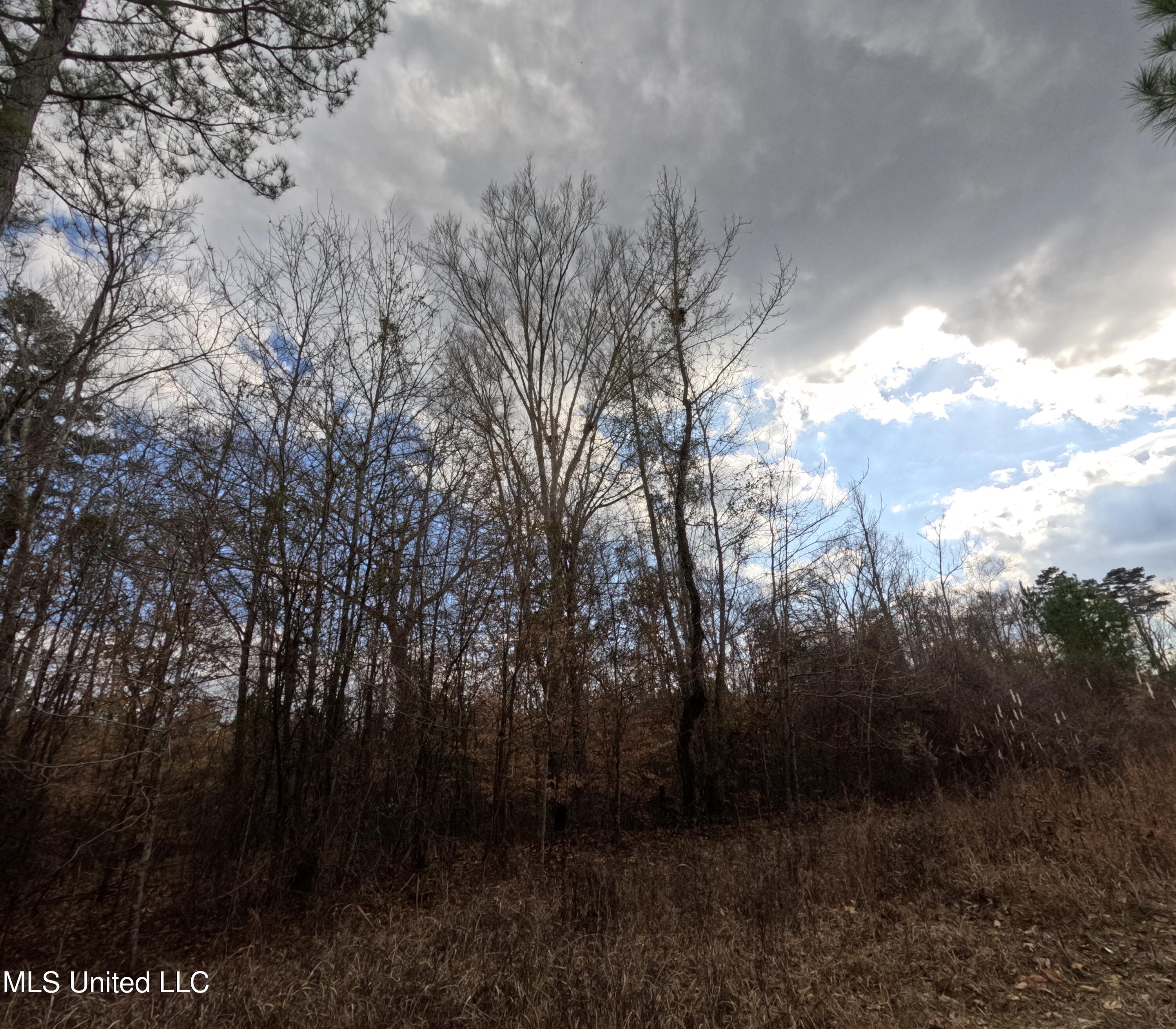 St-john Road Road Braxton, MS 39044 - Photo 12 of 38 GOPR0887