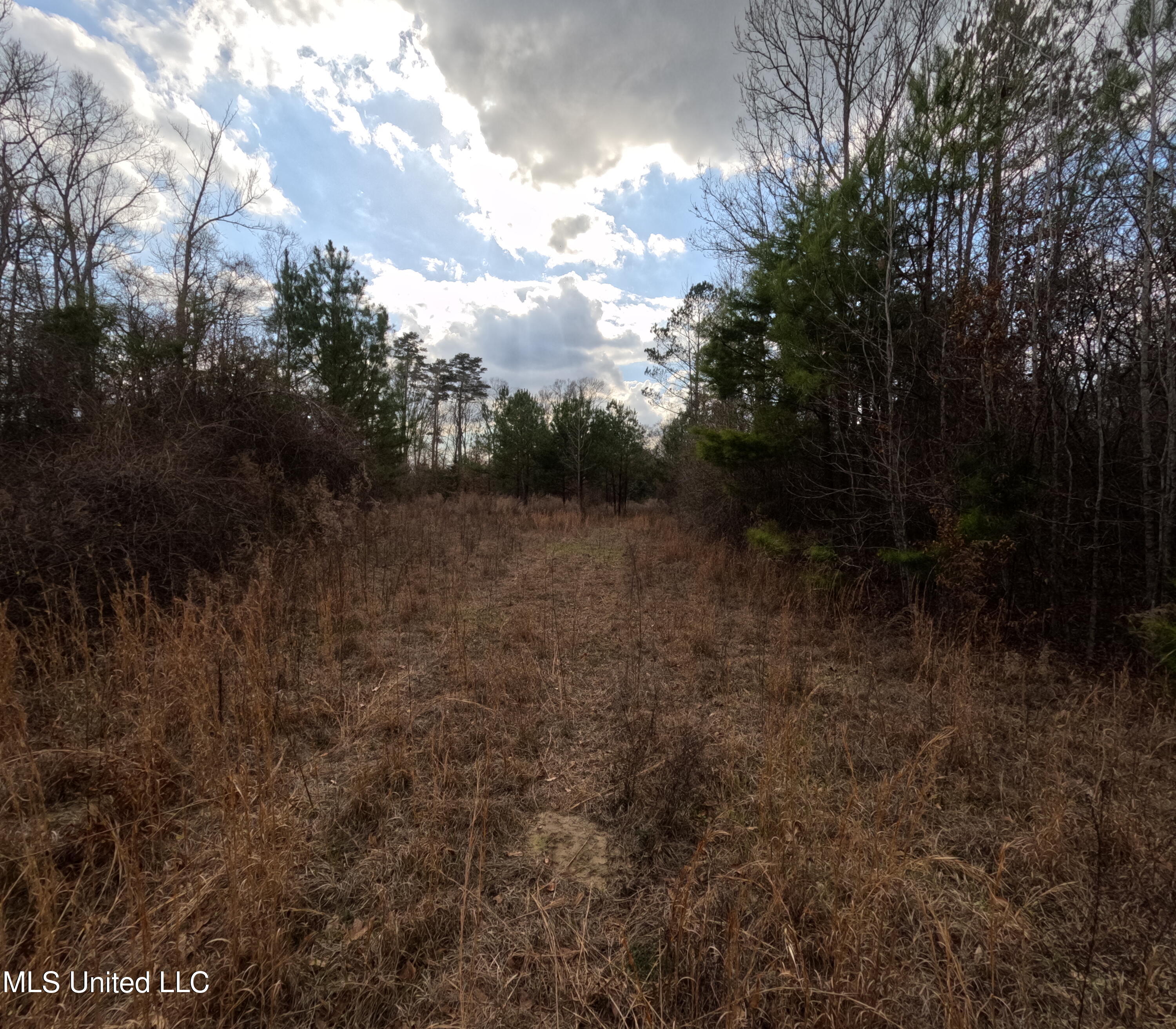 St-john Road Road Braxton, MS 39044 - Photo 13 of 38 GOPR0888