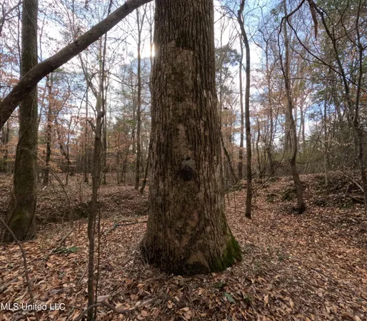 $485,000 | St-john Road Road, Braxton, MS 39044