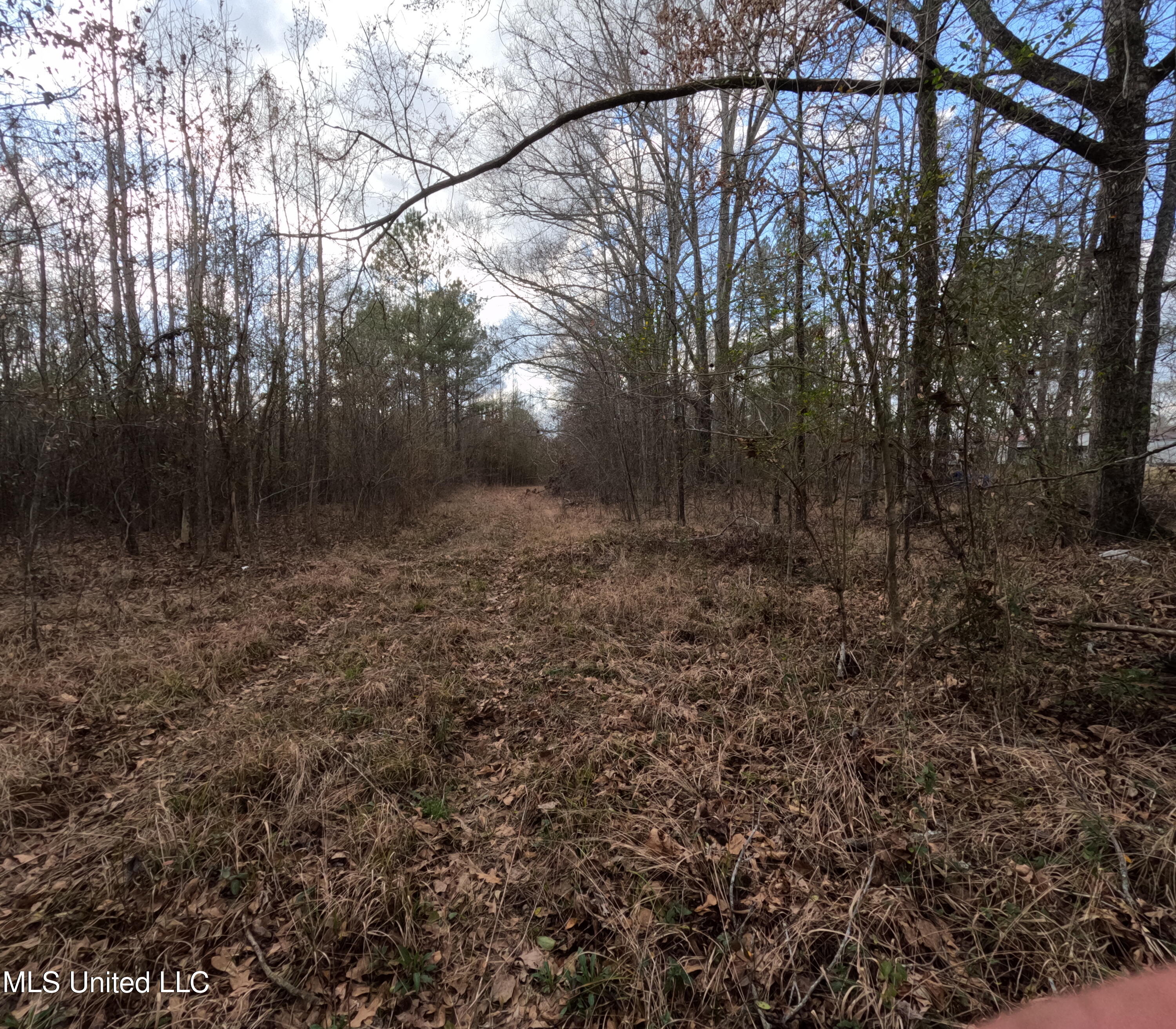 St-john Road Road Braxton, MS 39044 - Photo 17 of 38 GOPR0894